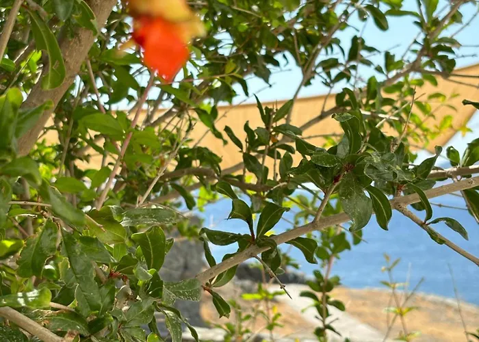 بيت للعطل Almyra Yellow