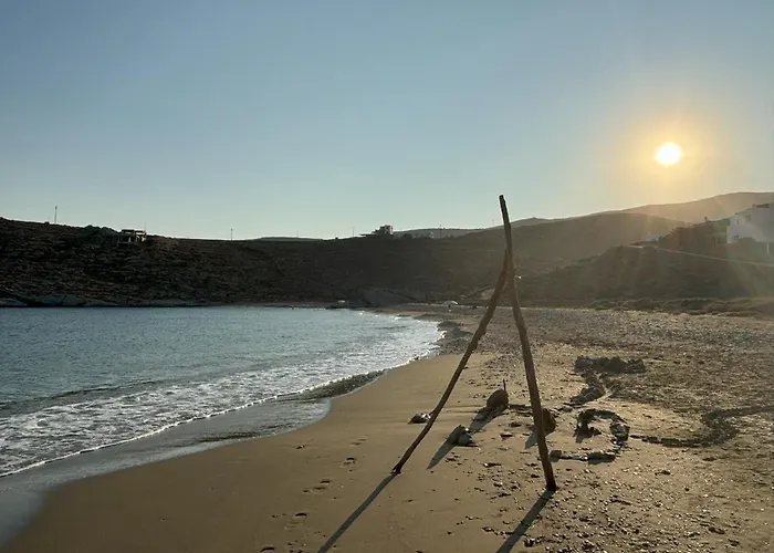 Almyra Yellow كيثنوس