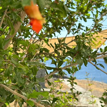 Σπίτι διακοπών Almyra Yellow